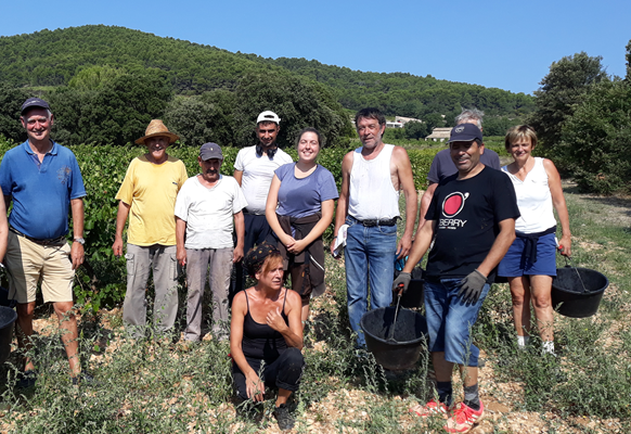 2019 - 2020, Un parfait tandem au Domaine Constant-Duquesnoy